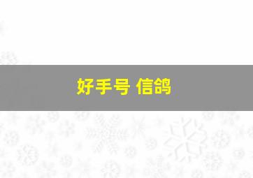 好手号 信鸽